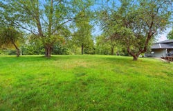 583 Blackberry Drive, Coldwater, MI 49036