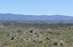Tbd Indian Valley Rd Parcel 8, Indian Valley, ID 83632