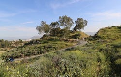 0 Kalmia, Moreno Valley, CA 92555