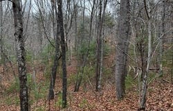 15 Silver Fir Road, Weaverville, NC 28787