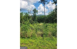 LOT 131 Lot 131 Twisted Oak #131, Ellijay, GA 30540
