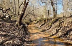 Highway 28, Abbeville, SC 29620