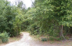 412 Sells Court, Pelion, SC 29123-0000
