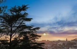 161 Dalewood Way, San Francisco, CA 94127