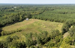 Sams Creek Road, Gallion, AL 36742