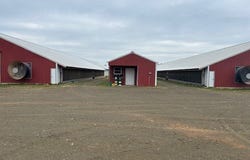 807 CR 332, San Augustine, TX 75972