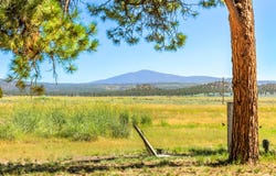 17707 Skeen Ranch Road, Sprague River, OR 97639