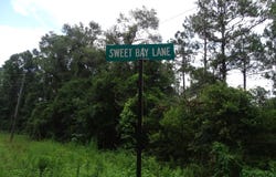 Sweetbay Lane, Wiggins, MS 39577