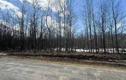 Lot 324 Parkridge Drive, Mancelona, MI 49659