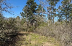 15.86 Acres Round Prairie Rd, Huntsville, TX 77320