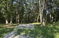 Running Deer, Crab Orchard, TN 37723