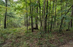 Dug Road, Elmira, NY 14901