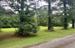 100 Mountain Side Drive, Pangburn, AR 72121