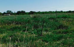 Lot 8 Morris Sheppard Drive, Brownwood, TX 76801