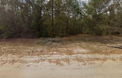 GUY AVENUE, INTERLACHEN, FL 32148