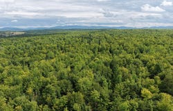 M3L11 Route 212, Merrill, ME 04780