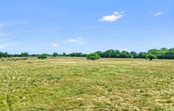 Mackey Road, Gunter, TX 75459
