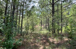 23 Acres TRUMAN ALDRICH PARKWAY, WEST BLOCTON, AL 35184