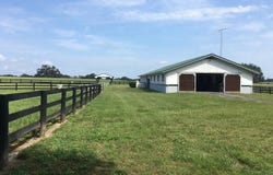 295 NE 110TH STREET, OCALA, FL 34479