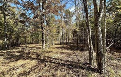 0 COUNTY ROAD 26, ASHVILLE, AL 35953