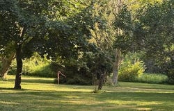 114 Stiffler Drive, Bronson, MI 49028
