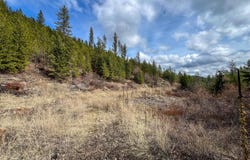 352X GREENE RD, VALLEY, WA 99181