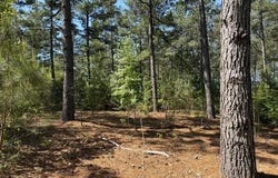TBD FM 228, Grapeland, TX 75844
