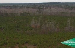 0 Old Snipe Road, Kelleys, LA 71227