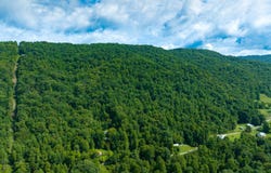 A Portion of 1106 Sherm Mountain Road, Sneedville, TN 37869