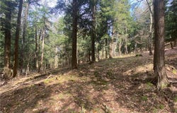 Lot A Piermott Lane, Hartwick, NY 13348