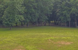117 Willowbrook Dr, Florence, AL 35630