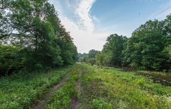 473 CR 3390, Hawkins, TX 75765