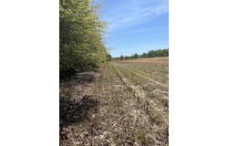 Mta 1 Judson Road, Dillon, SC 29536