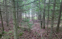 2468 BOAT LANDING RD, Paulding, MI 49912