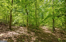 LETCHER Road E, BRANDYWINE, MD 20613