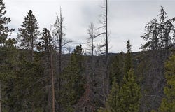 156 VISTA ROAD, Idaho Springs, CO 80452