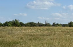 Tbd CR 416, Comanche, TX 76442