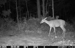 Tbd Osborne Mountain Rd, Raven, VA 24639