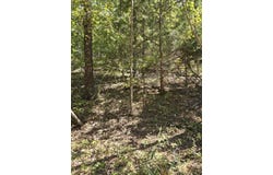 County Road 421, Birch Tree, MO 65438