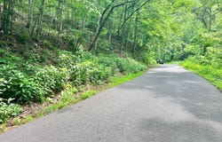 0 Manilla Ridge Rd., Leon, WV 25123