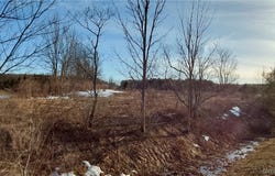Crooked Brook Road, Deerfield, NY 13502
