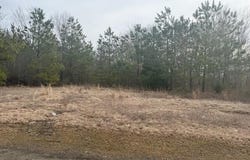 Carter Street, Woodland, NC 27897