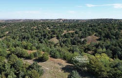 S Snell Canyon Road, Brady, NE 69123