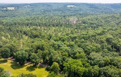 Tract 2 Harmony Mountain Road, Clinton, AR 72031