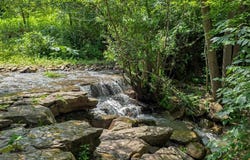 Ellison Ridge Road, Jumping Branch, WV 25969