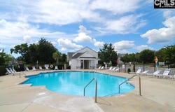 116 Wingspan Way, Chapin, SC 29036