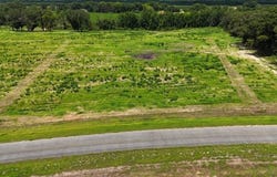 0-Lot 1 County Road 17, Headland, AL 36345