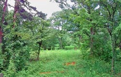 0 31 Patterschool, South Pittsburg, TN 37380