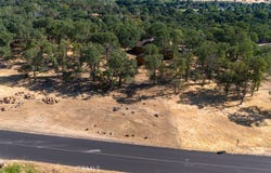 19697 Donkey Hill Road, Hidden Valley Lake, CA 95467