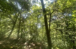 Lot 26 Rock Springs Road, Celina, TN 38551
